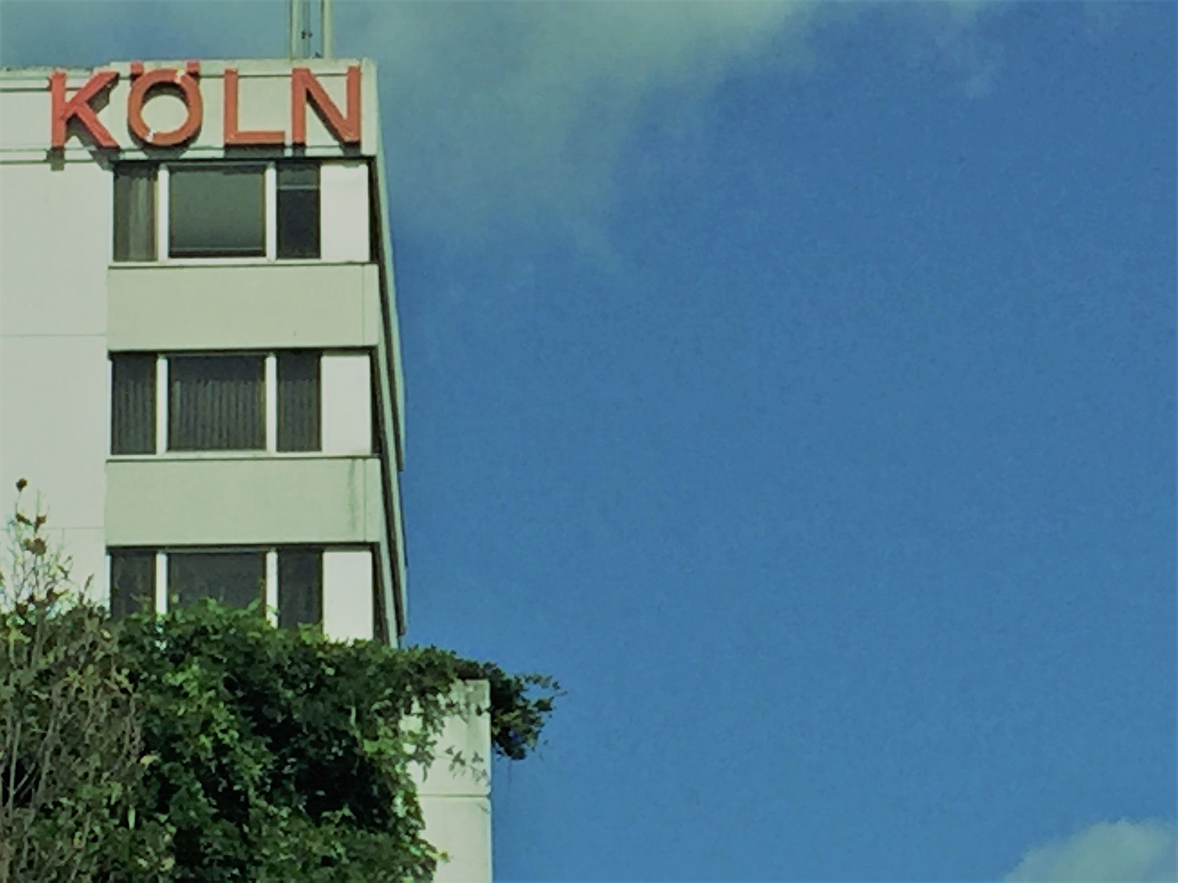 Köln Schriftzug